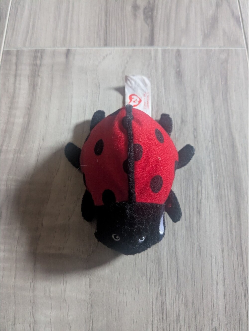 Ty Teenie Beanies Ladybug Plush